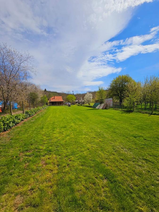 Besenovacki PrnjavorFruska House别墅 外观 照片