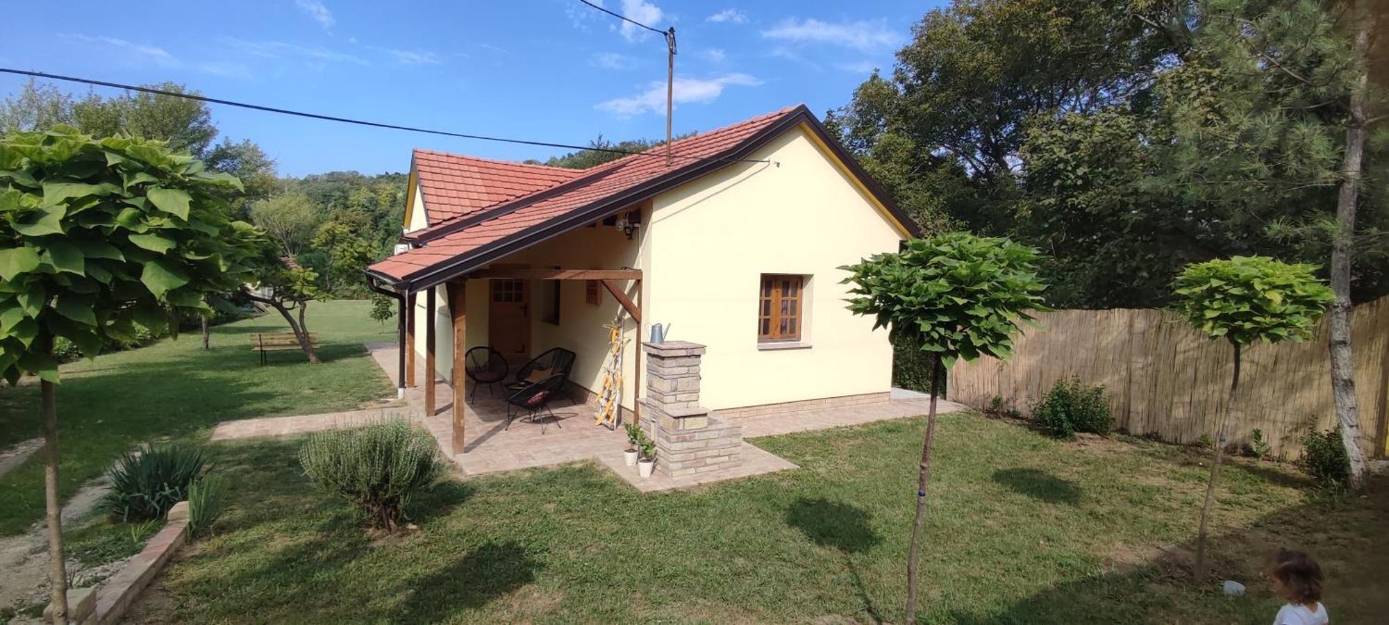 Besenovacki PrnjavorFruska House别墅 外观 照片