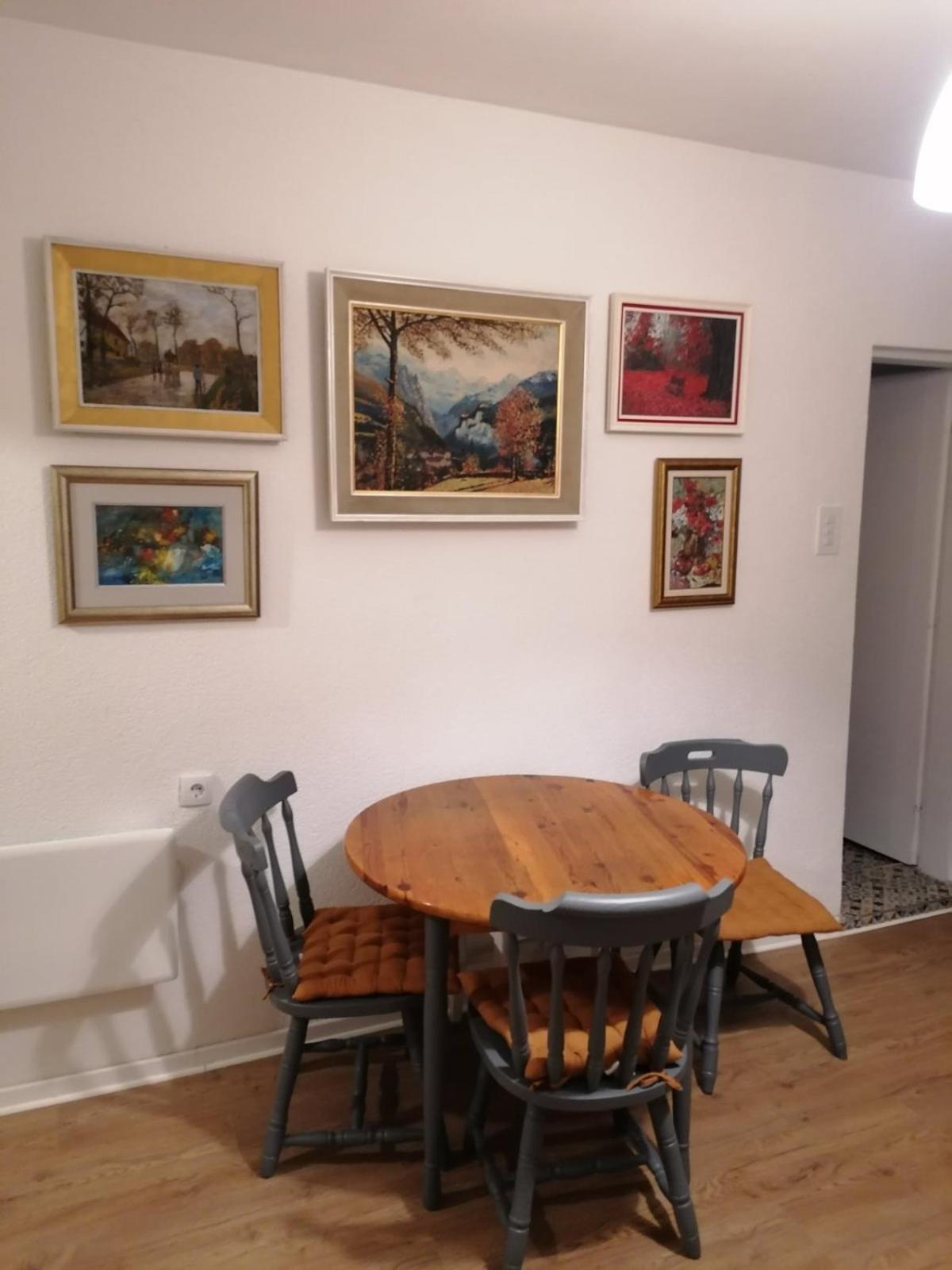Besenovacki PrnjavorFruska House别墅 外观 照片