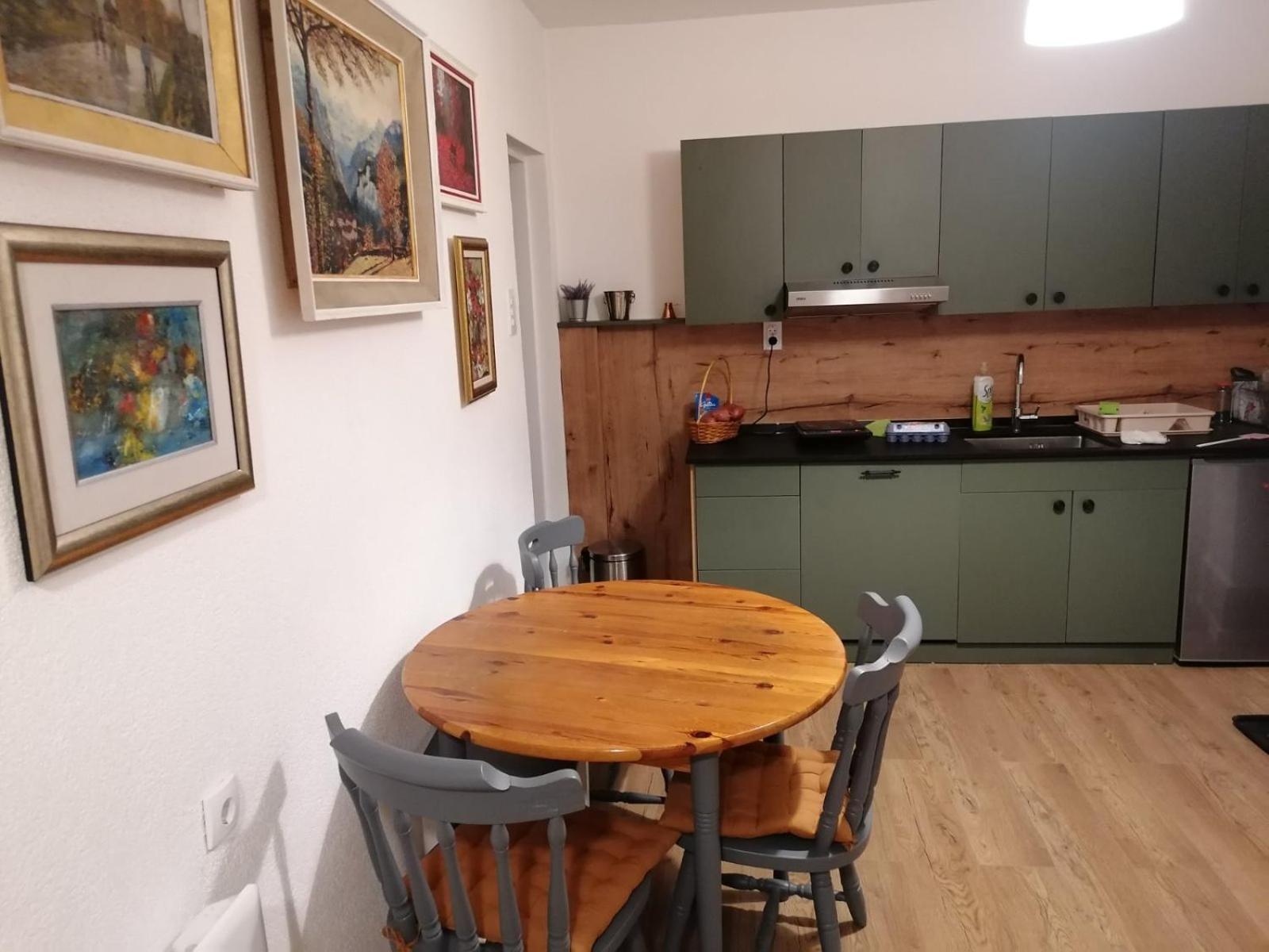 Besenovacki PrnjavorFruska House别墅 外观 照片